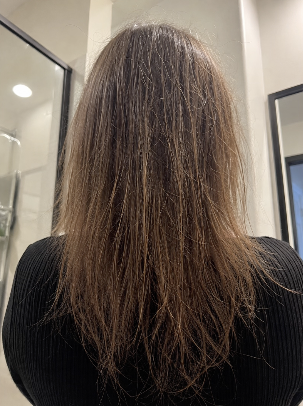 VERY-DAMAGED-HAIR