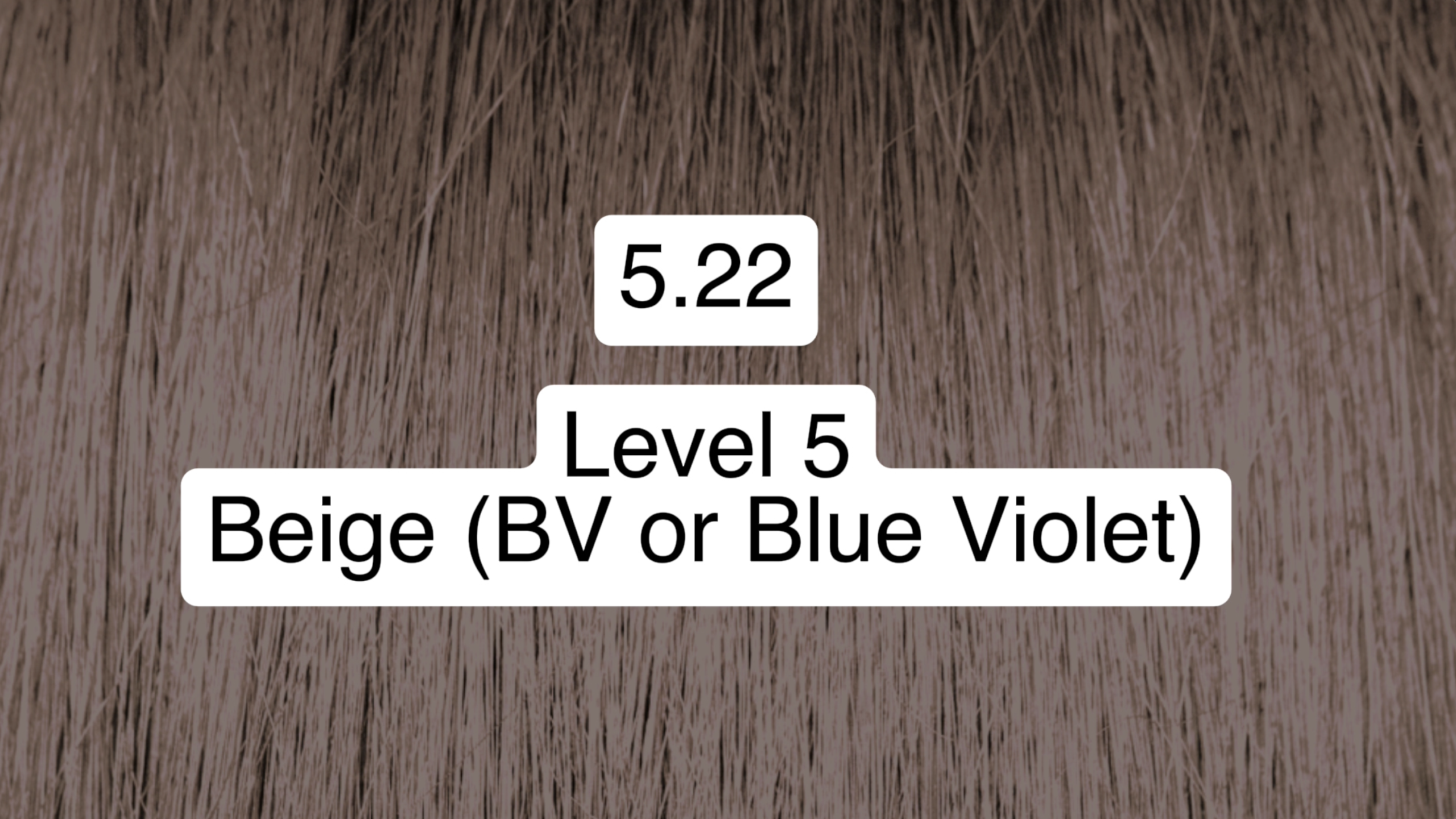 SWATCH-SHOWING-PRAVANA-5.22-LEVEL-5-BEIGE-BV-BLUE-VIOLET